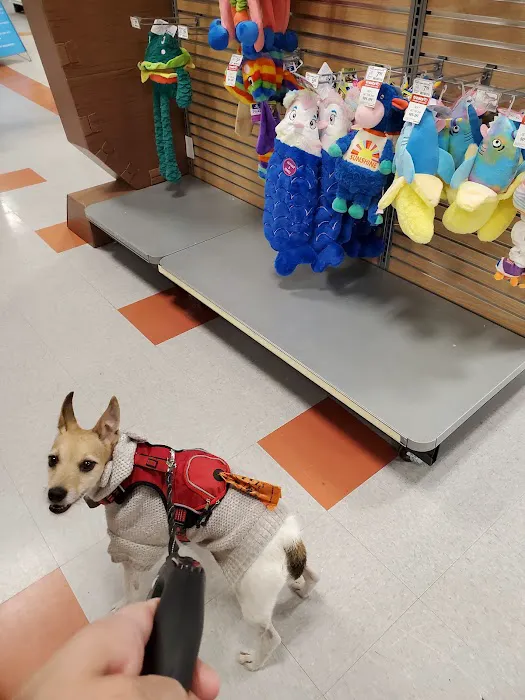Banfield Pet Hospital 6