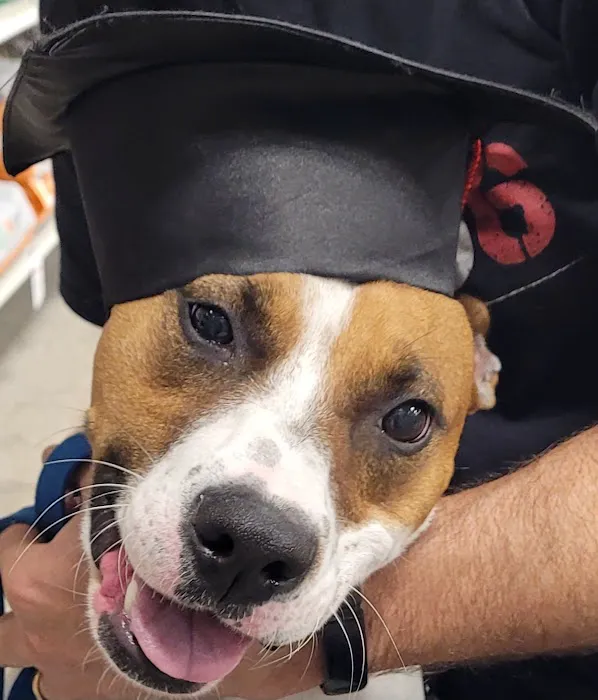 Banfield Pet Hospital 5