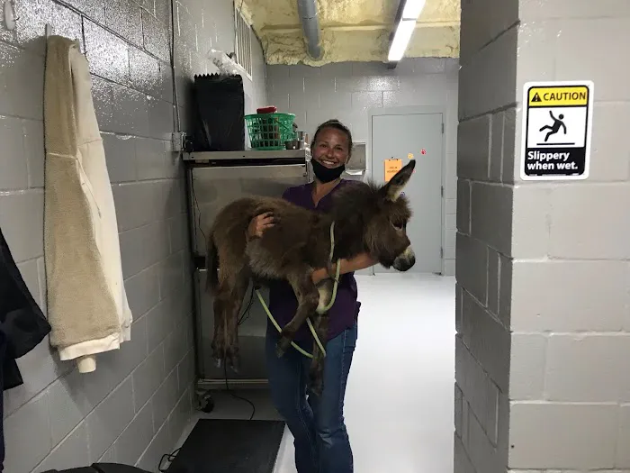 Dime Box Animal Clinic 12