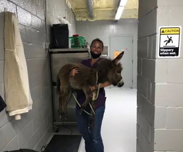 Dime Box Animal Clinic