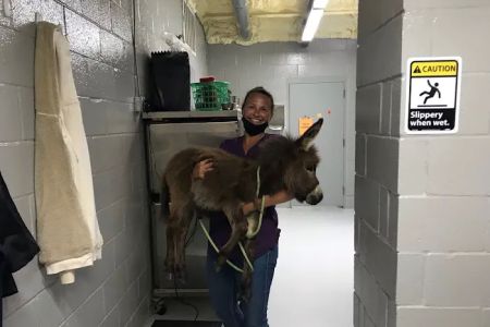Dime Box Animal Clinic