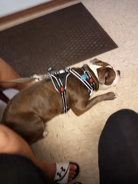 Lexington Animal Clinic 6
