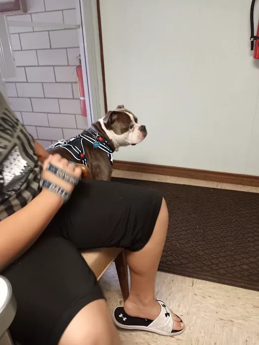 Lexington Animal Clinic 5