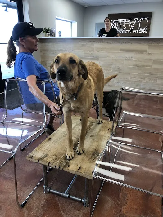 Essential Vet Care 7
