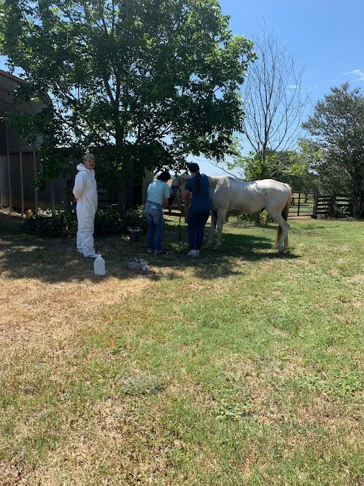 Guadalupe Valley Veterinary Clinic 12