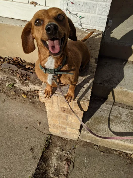 Chisholm Trail Veterinary Clinic of Luling 12