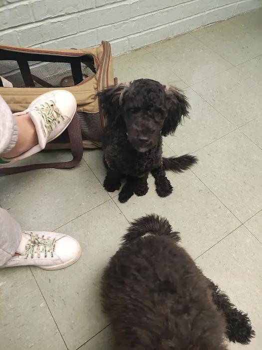 Chisholm Trail Veterinary Clinic of Luling 12