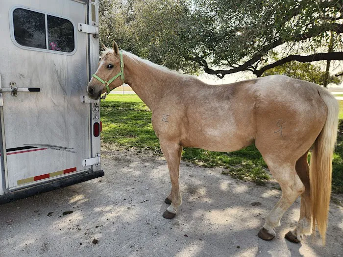 Pecan Grove Vet Clinic 12