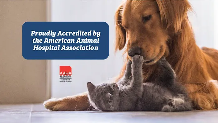 Shinnecock Animal Hospital 1