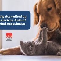 Shinnecock Animal Hospital ico