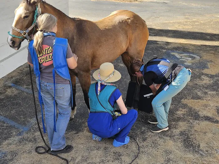 Adobe Veterinary Clinic 12