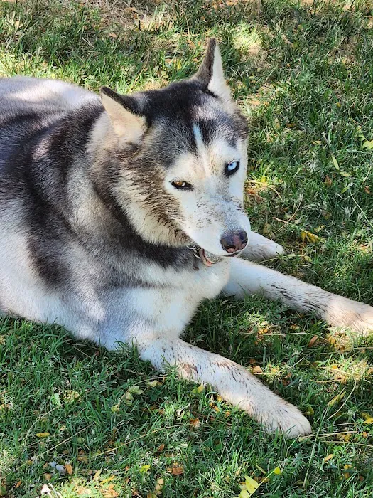 Yucaipa Animal Hospital 7