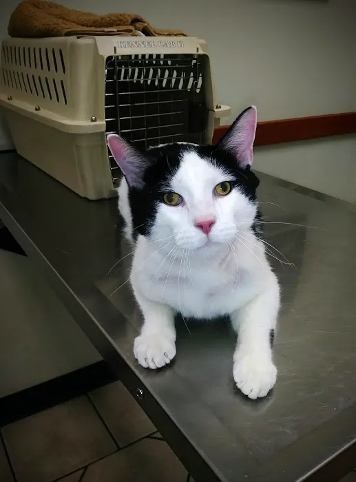 Yucaipa Animal Hospital 10