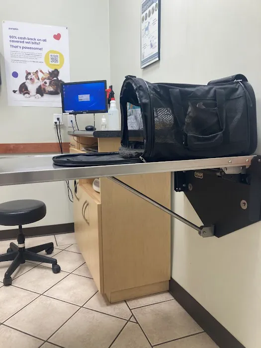 Yucaipa Animal Hospital 5
