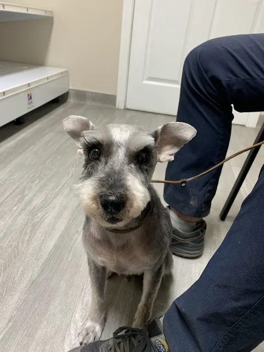 Calimesa Vet Clinic 6