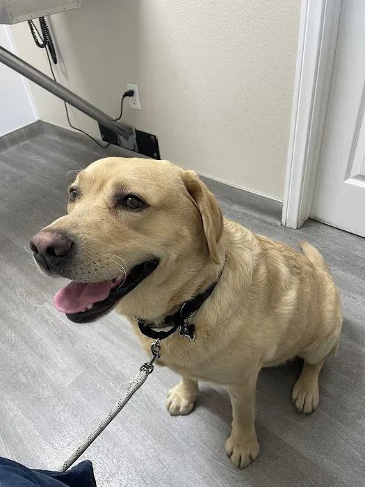 Calimesa Vet Clinic 2