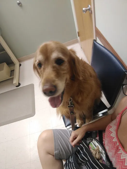 MacDonald Veterinary Hospital, Inc. 12