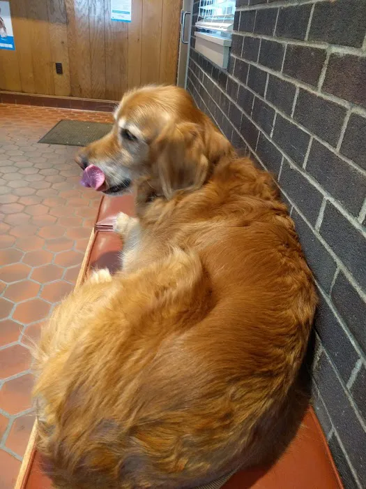 MacDonald Veterinary Hospital, Inc. 12