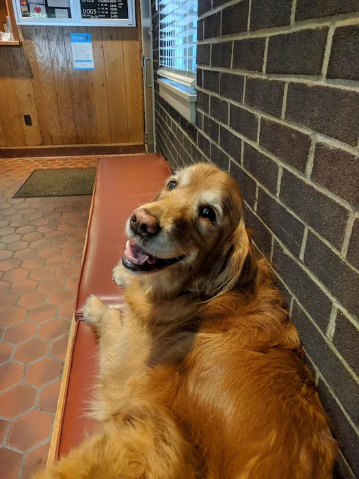 MacDonald Veterinary Hospital, Inc. 12