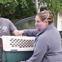Salmon Brook Veterinary Hospital ico