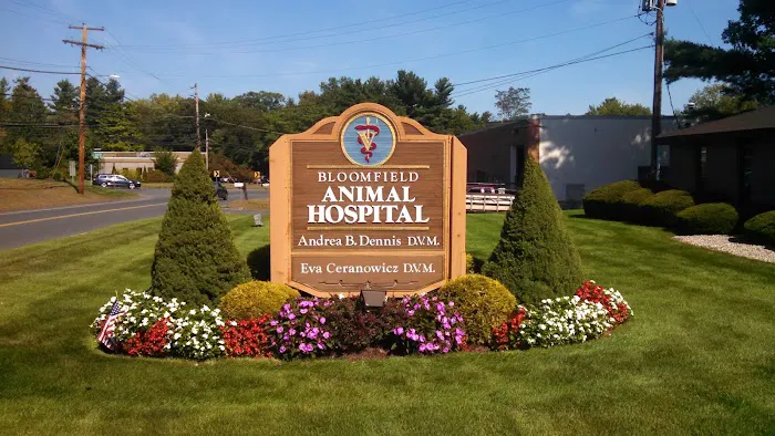 Bloomfield Animal Hospital 12