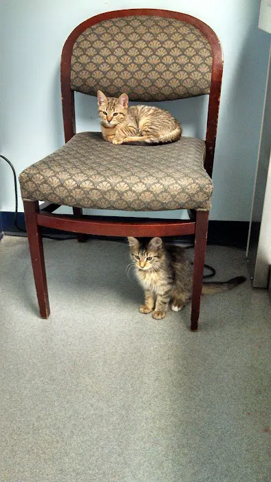 Bloomfield Animal Hospital 12