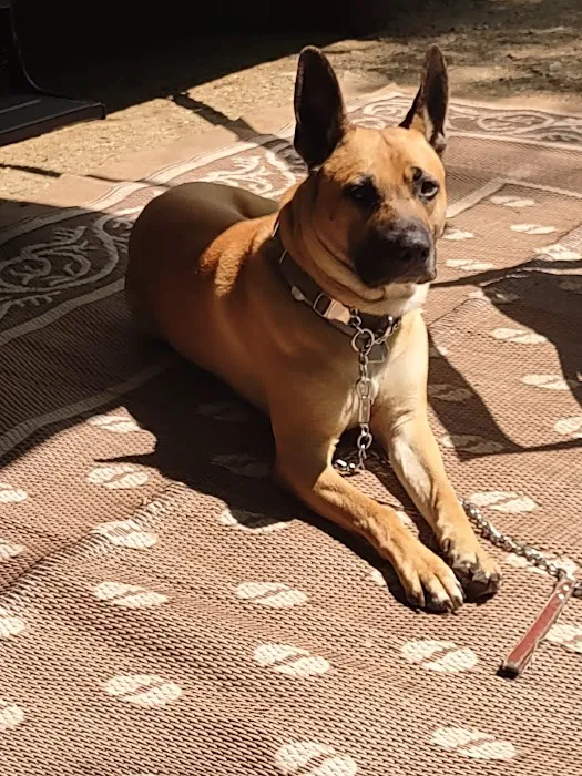Connecticut Veterinary Center 12