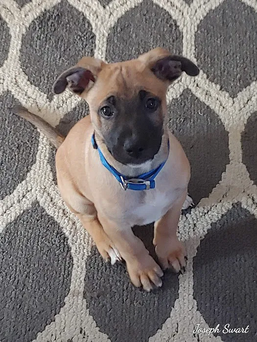 Connecticut Veterinary Center 12