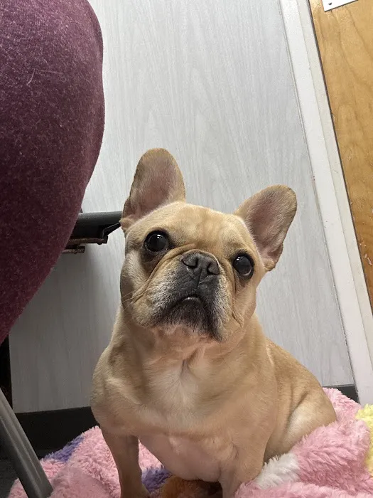 Connecticut Veterinary Center 12
