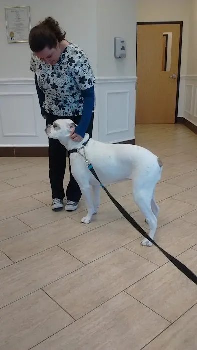 New England Veterinary Center & Cancer Center 12