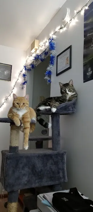Banfield Pet Hospital 6