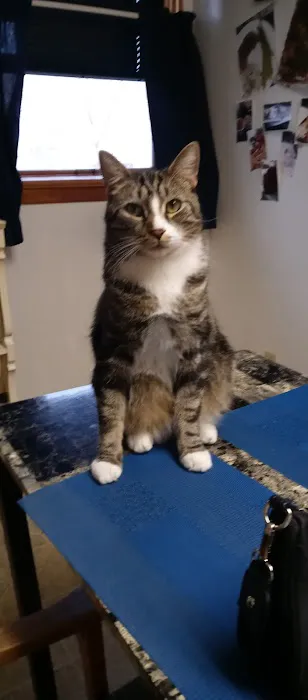 Banfield Pet Hospital 3