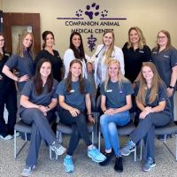 Companion Animal Medical Center ico