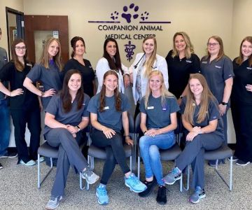Companion Animal Medical Center