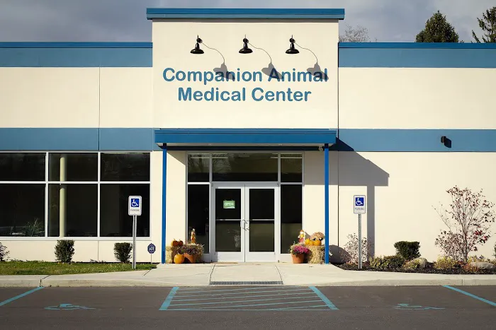 Companion Animal Medical Center 2