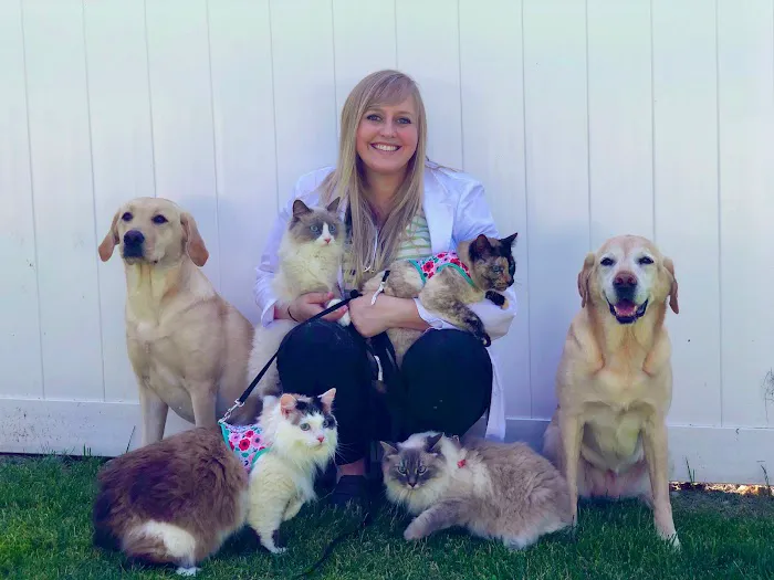 Companion Animal Medical Center 6