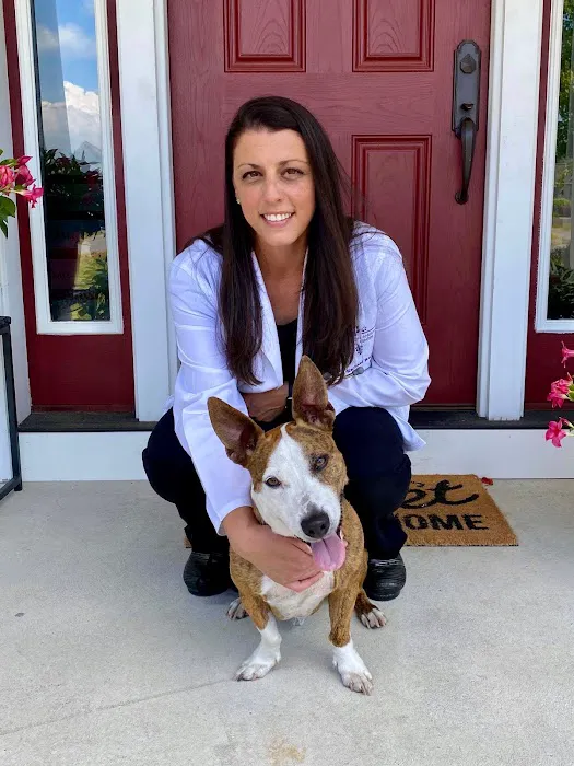 Companion Animal Medical Center 3