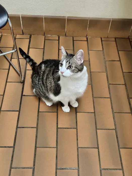 Rotterdam Veterinary Hospital 1