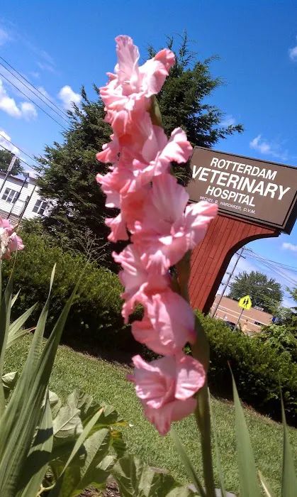 Rotterdam Veterinary Hospital 4