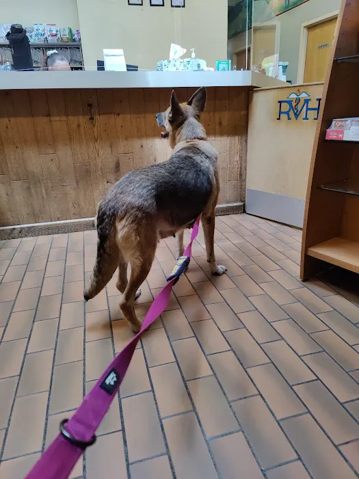 Rotterdam Veterinary Hospital 5