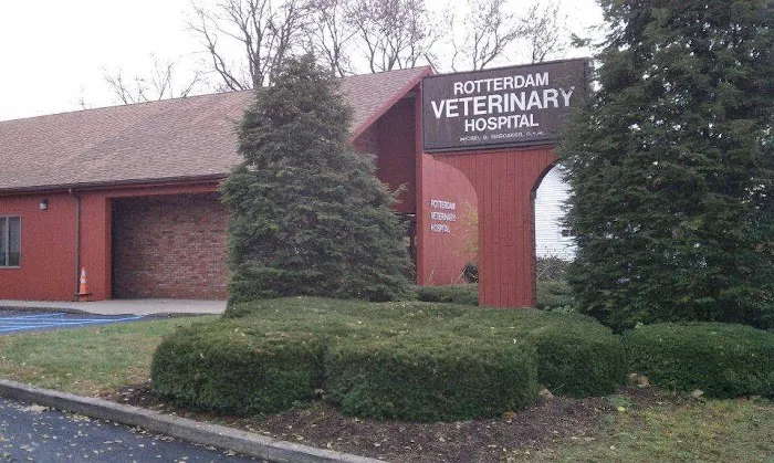 Rotterdam Veterinary Hospital 8