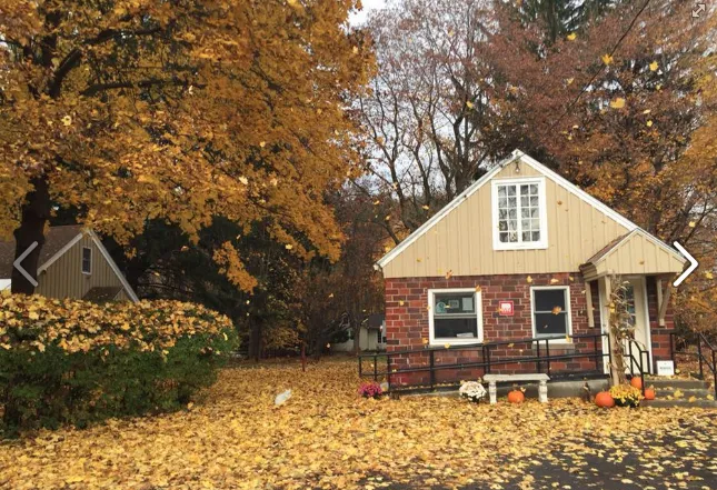 Niskayuna Animal Hospital 9