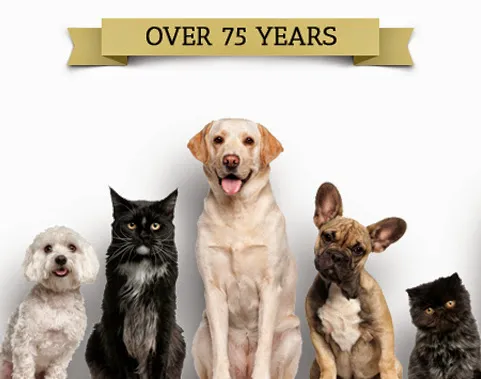 Niskayuna Animal Hospital 3