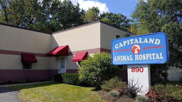 Capitaland Animal Hospital 1