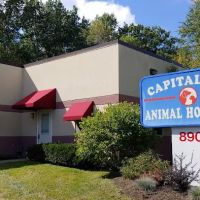 Capitaland Animal Hospital ico
