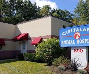 Capitaland Animal Hospital