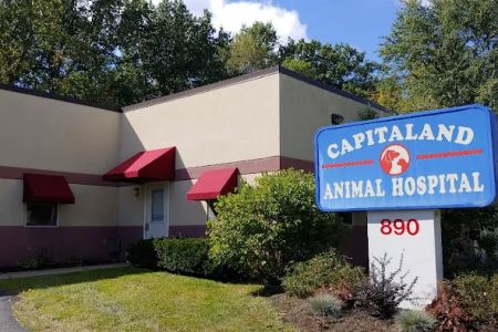 Capitaland Animal Hospital