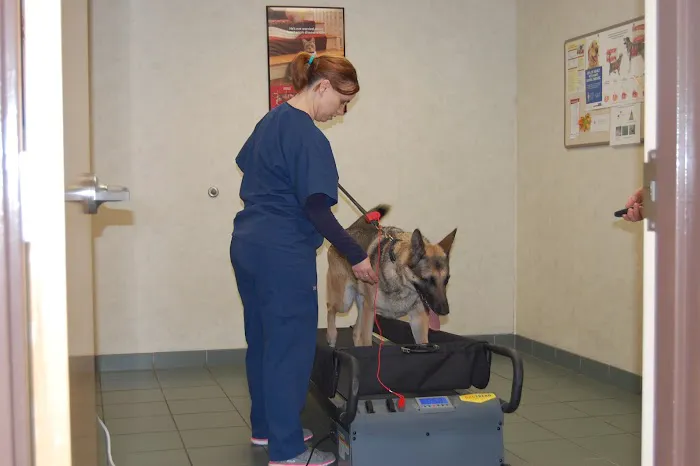 Capitaland Animal Hospital 2