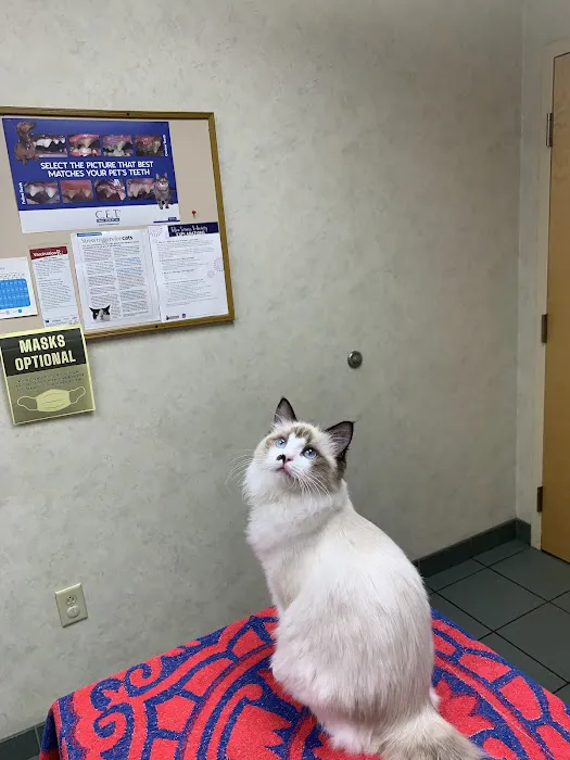 Capitaland Animal Hospital 10