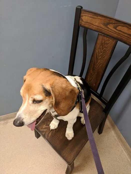 Boght Veterinary Clinic 9